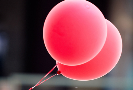 lufidiszites-rendelese-partybuszra